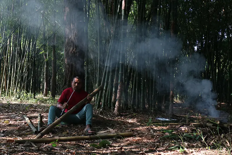 Regenerative Bamboo River Embankments