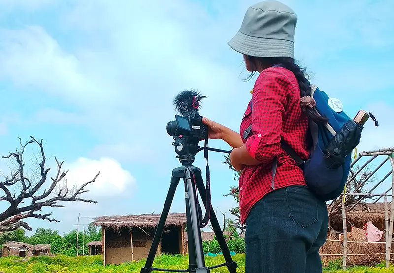 Documentary cinema ecosystem